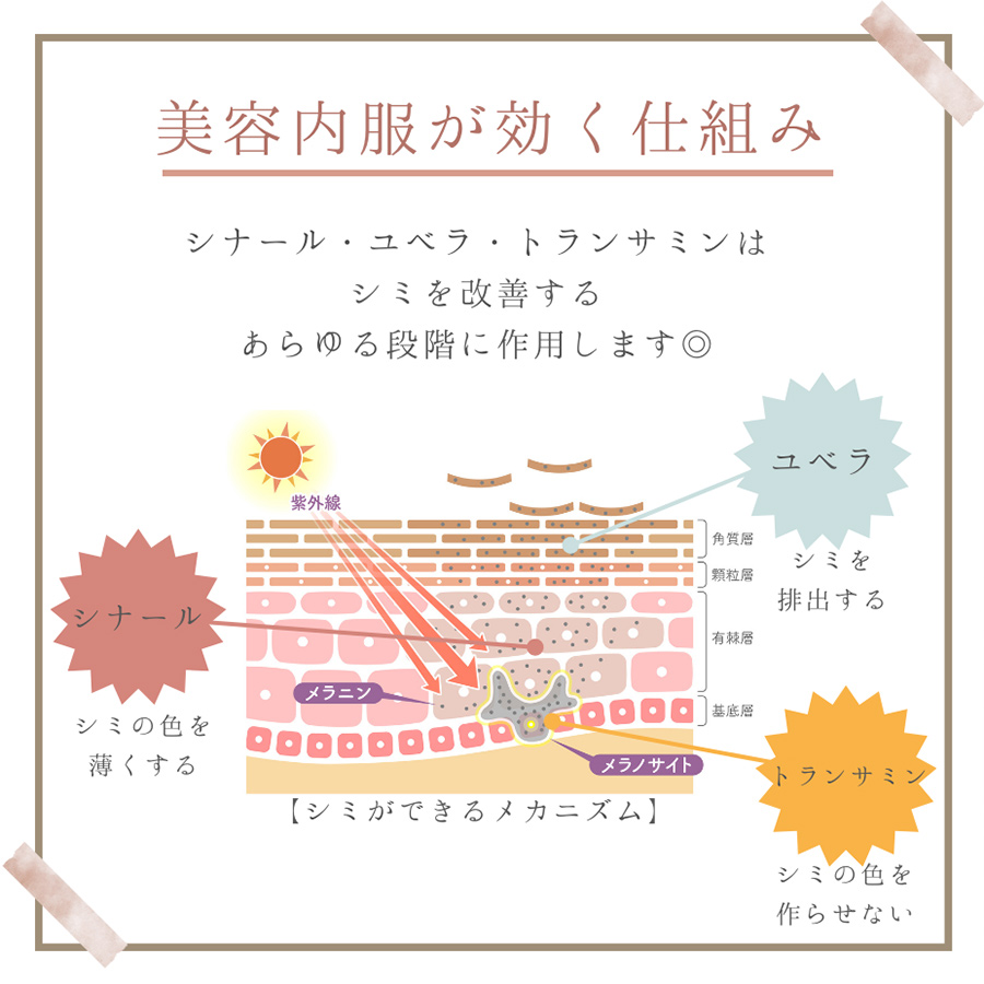  内服薬・サプリメント